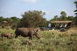 Kenya Tours