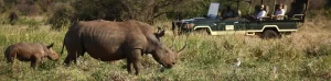 Kenya Tours cover