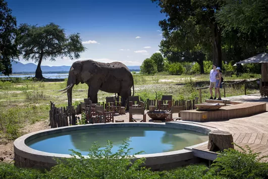 Nyamatusi Camp game viewing, Zimbabwe