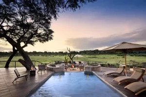 Somalisa Acacia Pool, Zimbabwe