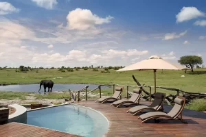 Somalisa Camp Game, Zimbabwe
