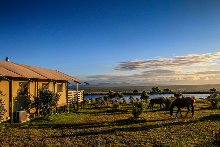 Glamping-Stanford-Hills-landscape