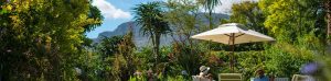 TLW-soul-pampering-header